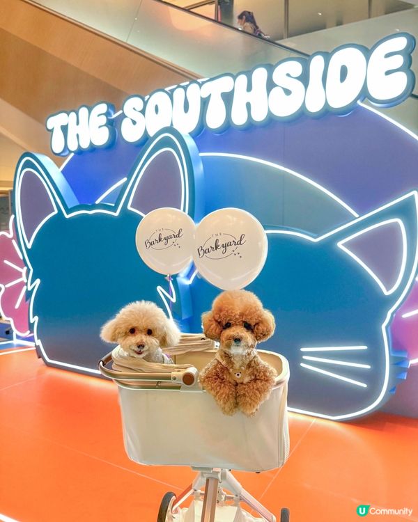 港島區寵物友善商場🐶🐱