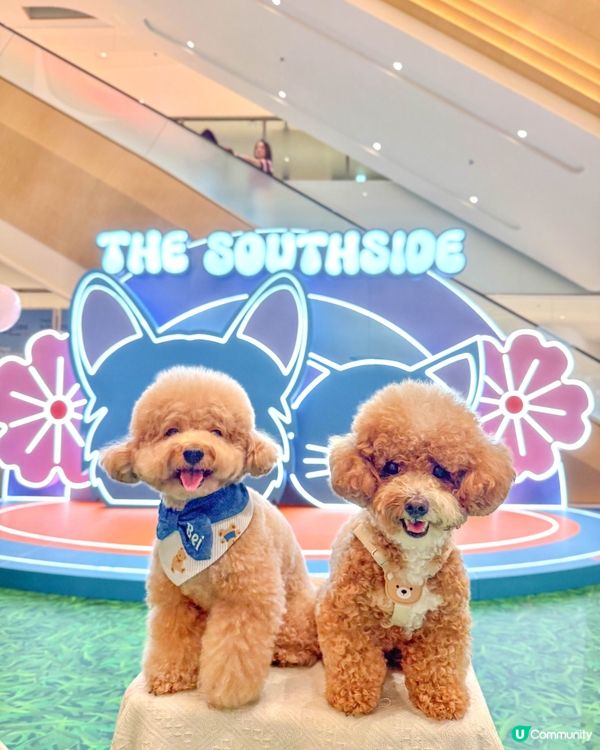 港島區寵物友善商場🐶🐱