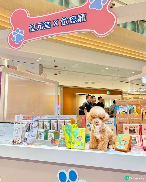 港島區寵物友善商場🐶🐱