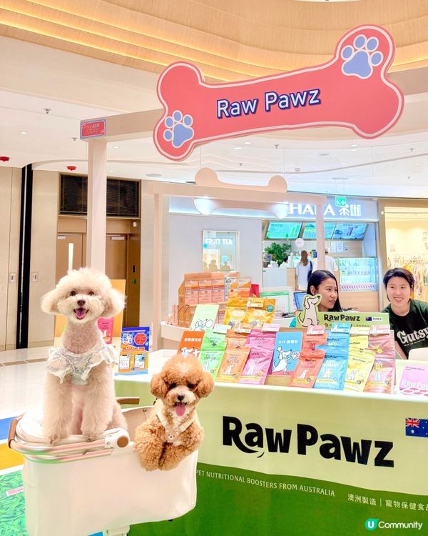 港島區寵物友善商場🐶🐱