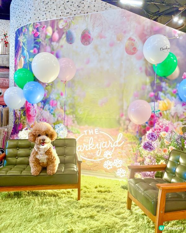 港島區寵物友善商場🐶🐱