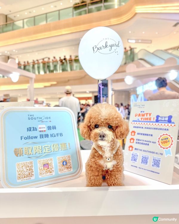 港島區寵物友善商場🐶🐱