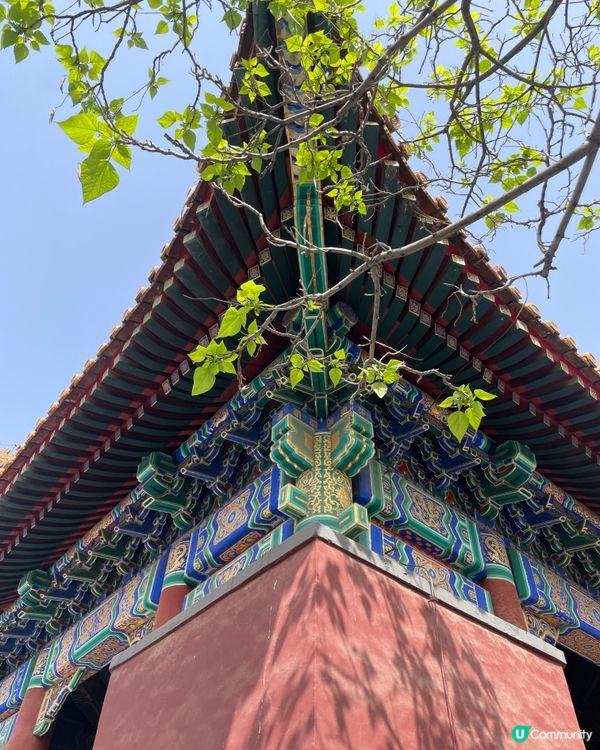 北京雍和宮🙏🏻  祈福之旅，心靈沉澱！