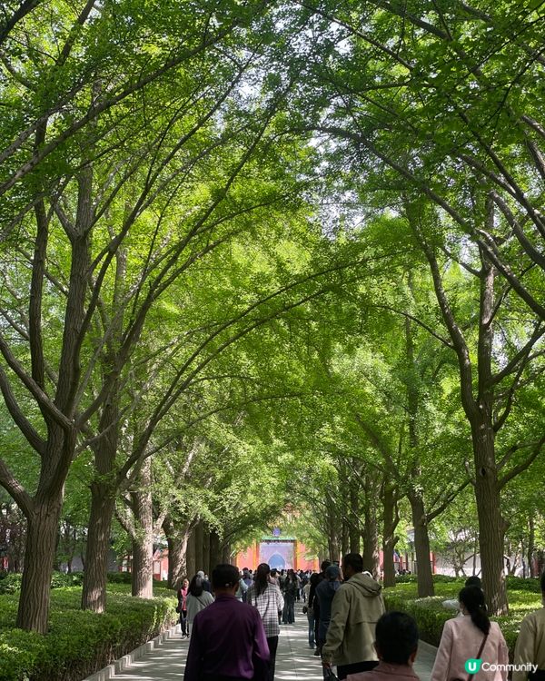 北京雍和宮🙏🏻  祈福之旅，心靈沉澱！