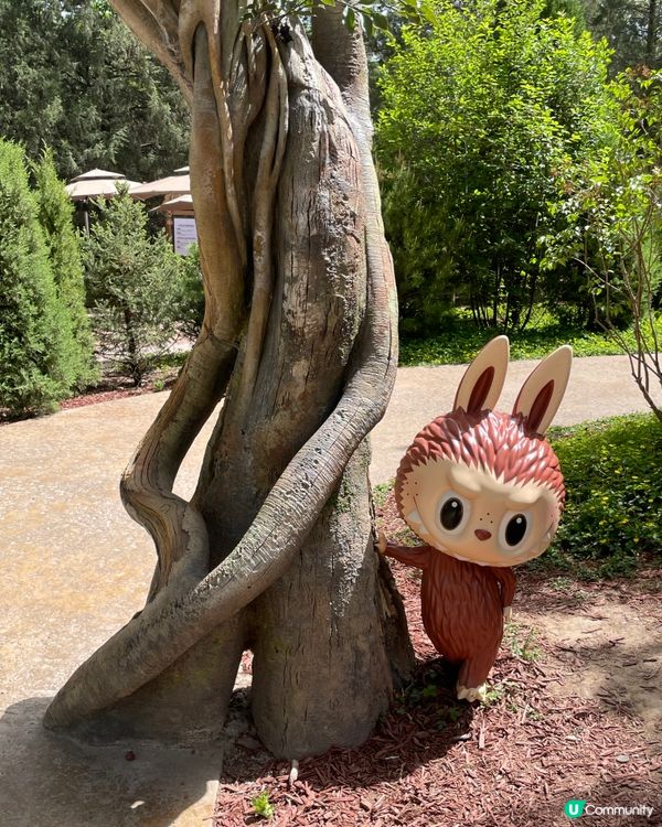 泡泡瑪特樂園，童心爆發！🥳