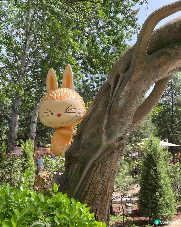 泡泡瑪特樂園，童心爆發！🥳