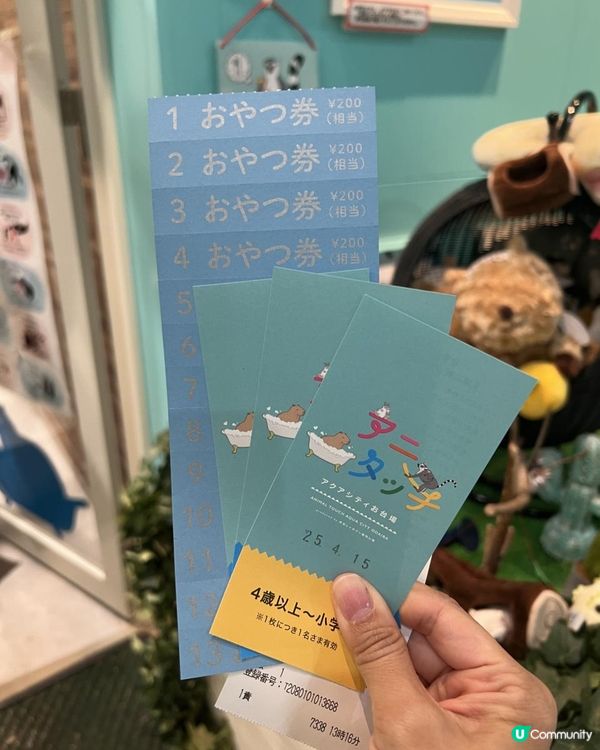 日本🇯🇵親子活動🔝💡無限時摸水豚，人均$100 