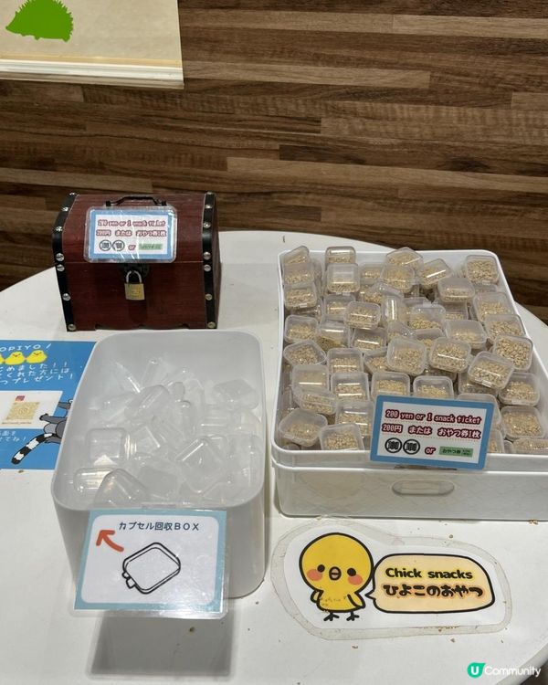 日本🇯🇵親子活動🔝💡無限時摸水豚，人均$100 