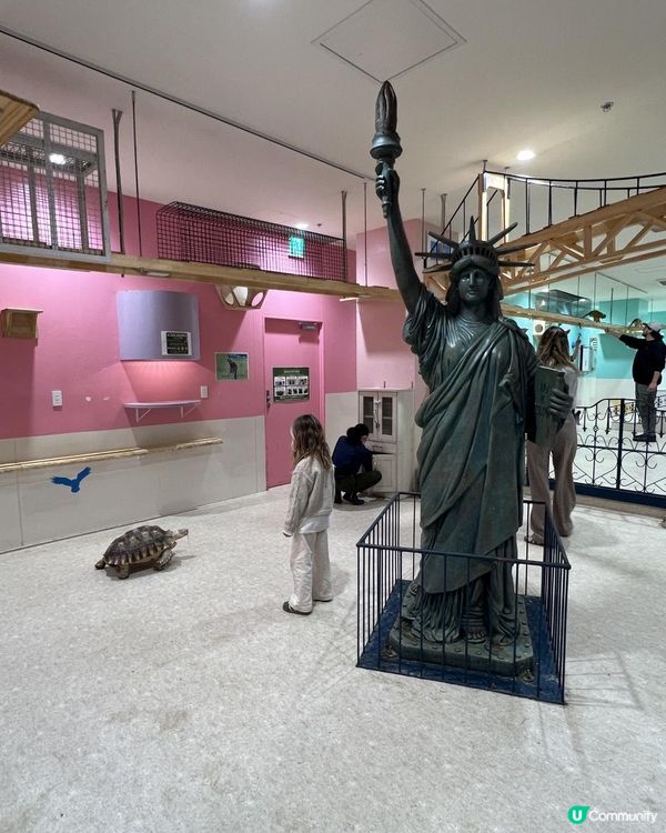 日本🇯🇵親子活動🔝💡無限時摸水豚，人均$100 