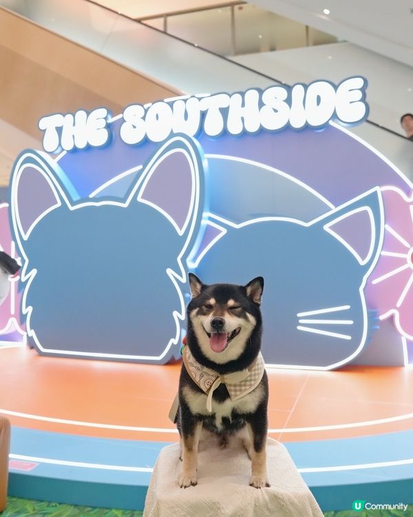 假日出街之選～The Southside市集打卡📸