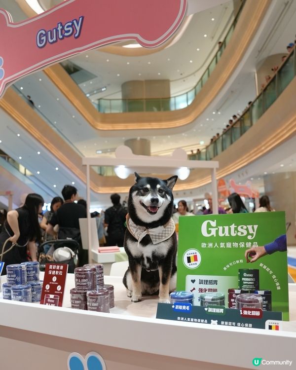 假日出街之選～The Southside市集打卡📸