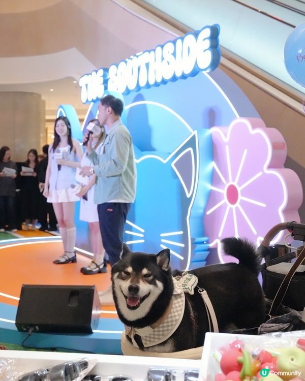 假日出街之選～The Southside市集打卡📸