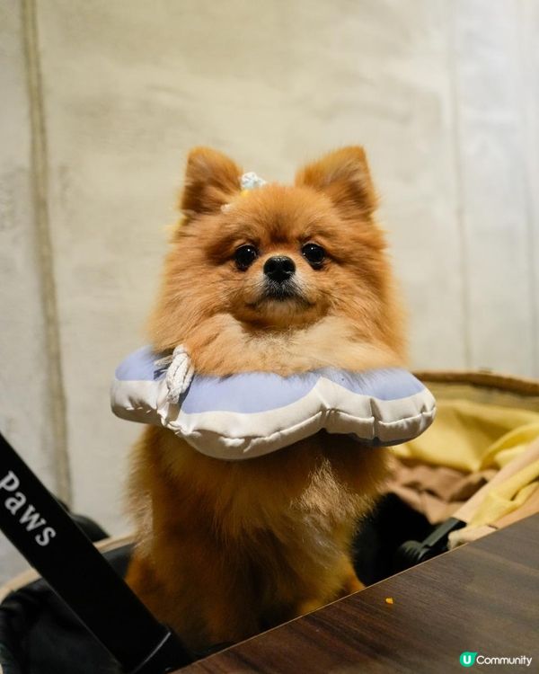 高雄號稱火鍋界的LV