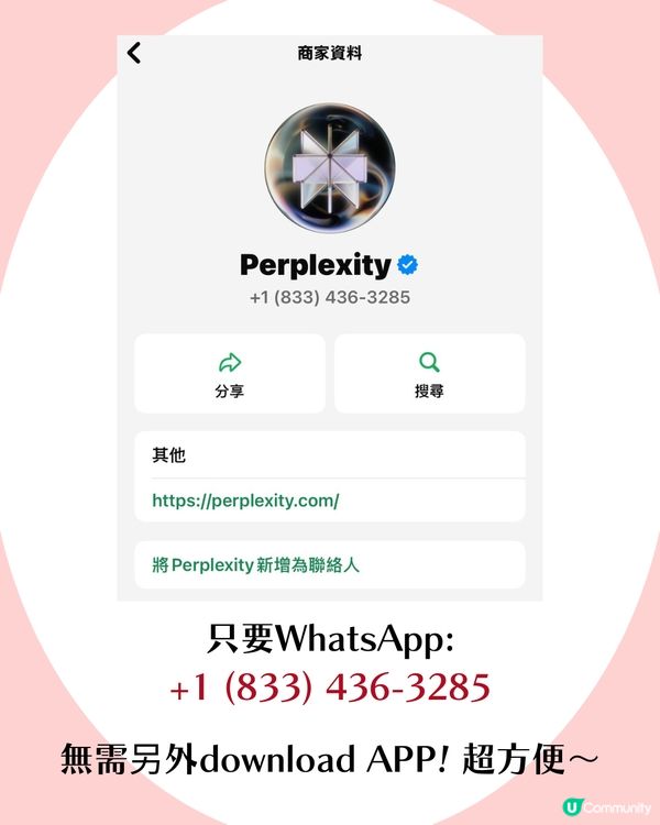 Threads大熱！免費AI filter✨唔使vpn 唔使下載APP‼️ 用WhtasApp一步變成可愛角色 附詳細教學~