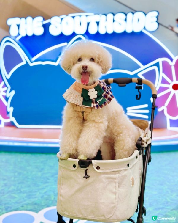 🧸假期去商場嘆冷氣同玩玩 #已經贏咗99%香港人 ！