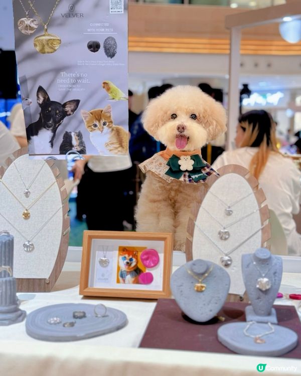 🧸假期去商場嘆冷氣同玩玩 #已經贏咗99%香港人 ！