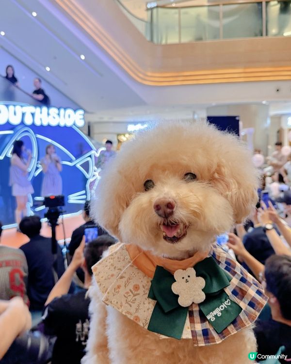 🧸假期去商場嘆冷氣同玩玩 #已經贏咗99%香港人 ！