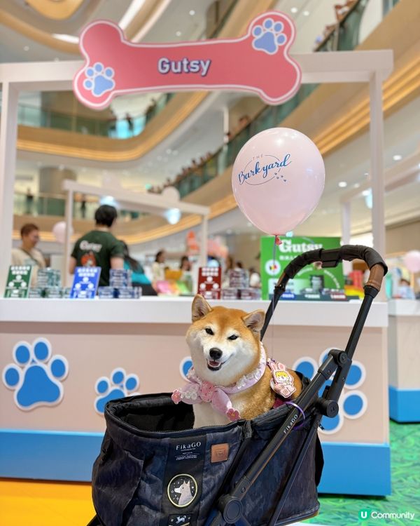 狗狗假日好去處