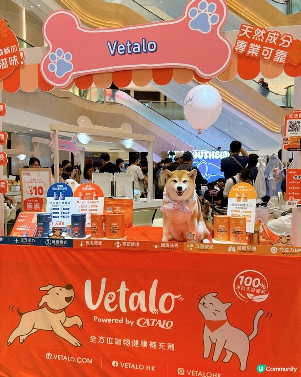 狗狗假日好去處