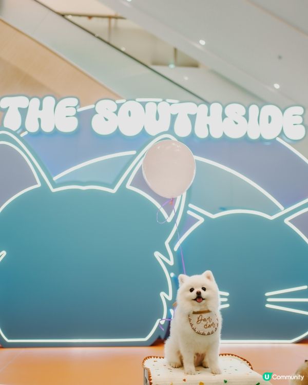 港島區全新貓狗好去處 THE SOUTHSIDE!!!