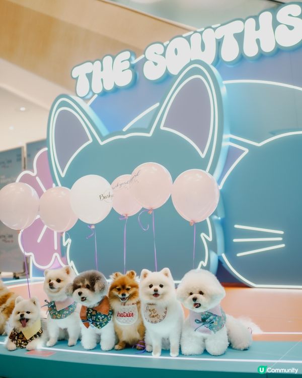 港島區全新貓狗好去處 THE SOUTHSIDE!!!