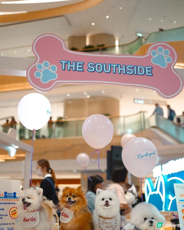 港島區全新貓狗好去處 THE SOUTHSIDE!!!