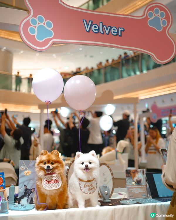 港島區全新貓狗好去處 THE SOUTHSIDE!!!