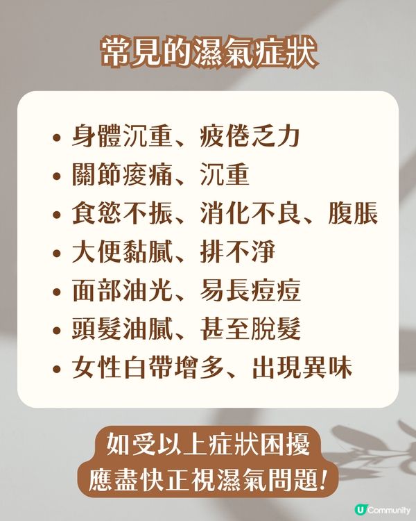 女生必看！濕氣重自救指南 3款祛濕茶+3大忌口 輕鬆告別暗沉/浮腫/易胖體質‼️