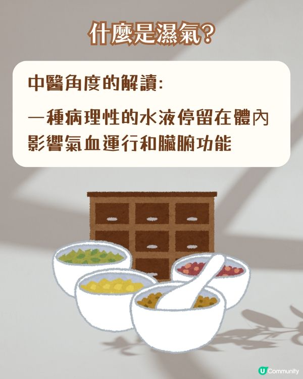 女生必看！濕氣重自救指南 3款祛濕茶+3大忌口 輕鬆告別暗沉/浮腫/易胖體質‼️