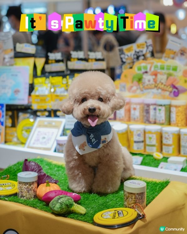 寵物友善商場🐶🐱The Southside 與萌同樂嘉年華