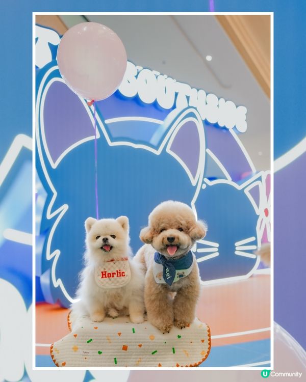 寵物友善商場🐶🐱The Southside 與萌同樂嘉年華