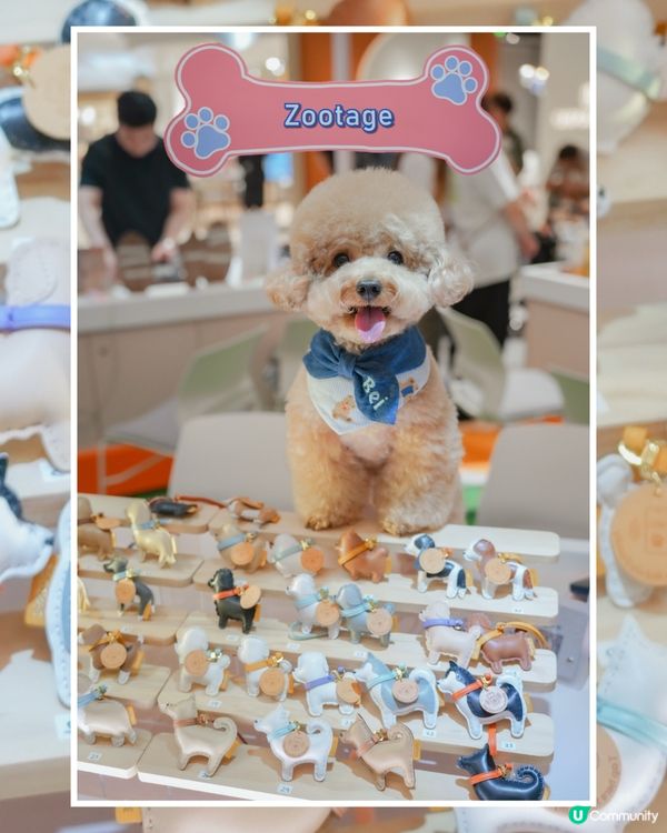 寵物友善商場🐶🐱The Southside 與萌同樂嘉年華