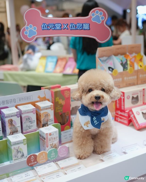 寵物友善商場🐶🐱The Southside 與萌同樂嘉年華