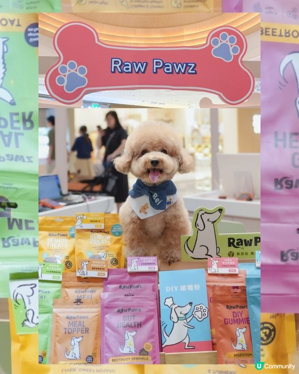 寵物友善商場🐶🐱The Southside 與萌同樂嘉年華