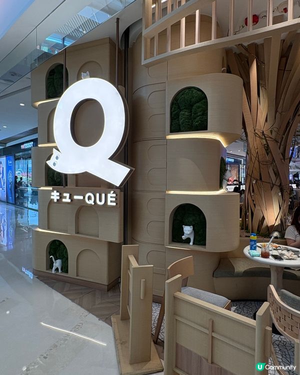 元朗高質日式西餐廳🍴😋