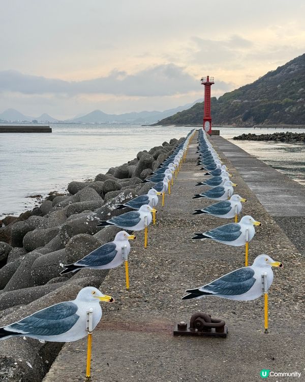 女木島鬼島探險👻  超乎想像！