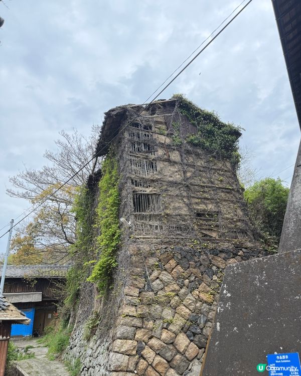 ## 🐈‍⬛ 男木島貓島之旅，療癒滿滿！