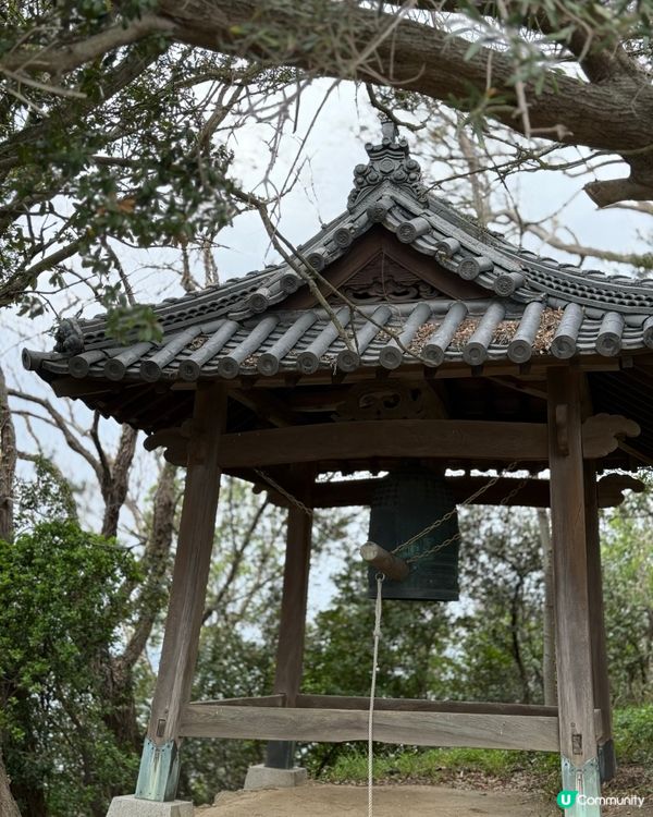 ## 🐈‍⬛ 男木島貓島之旅，療癒滿滿！