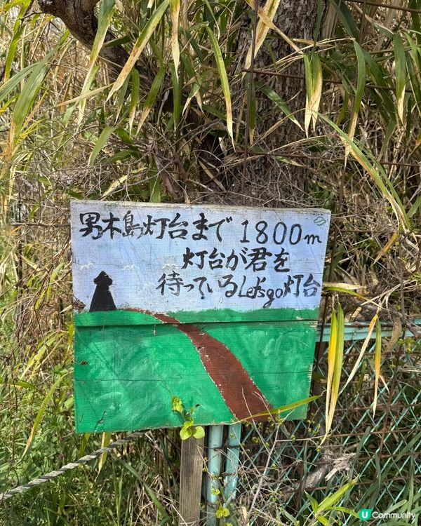 ## 🐈‍⬛ 男木島貓島之旅，療癒滿滿！