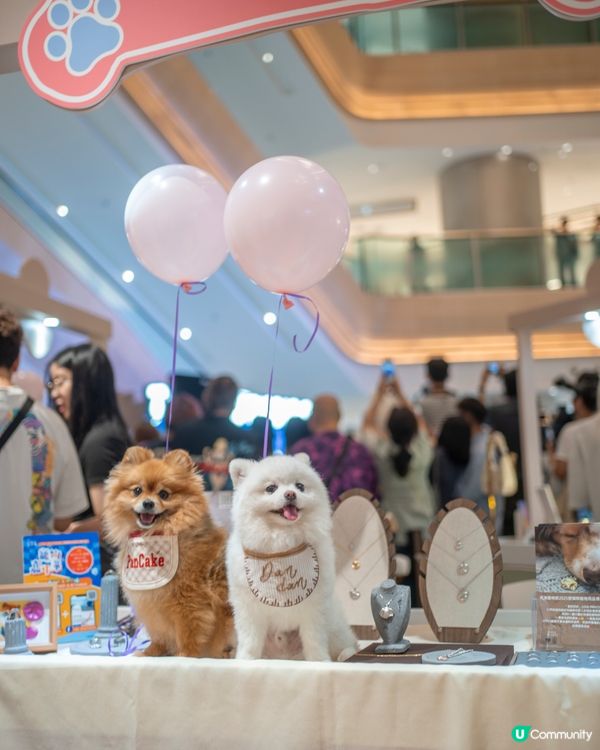 SOUTHSIDE南區寵物友善商場