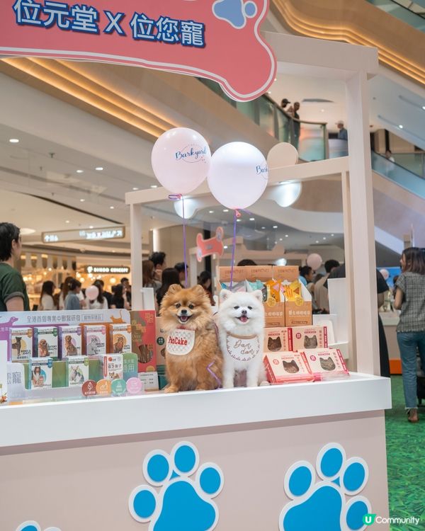 SOUTHSIDE南區寵物友善商場