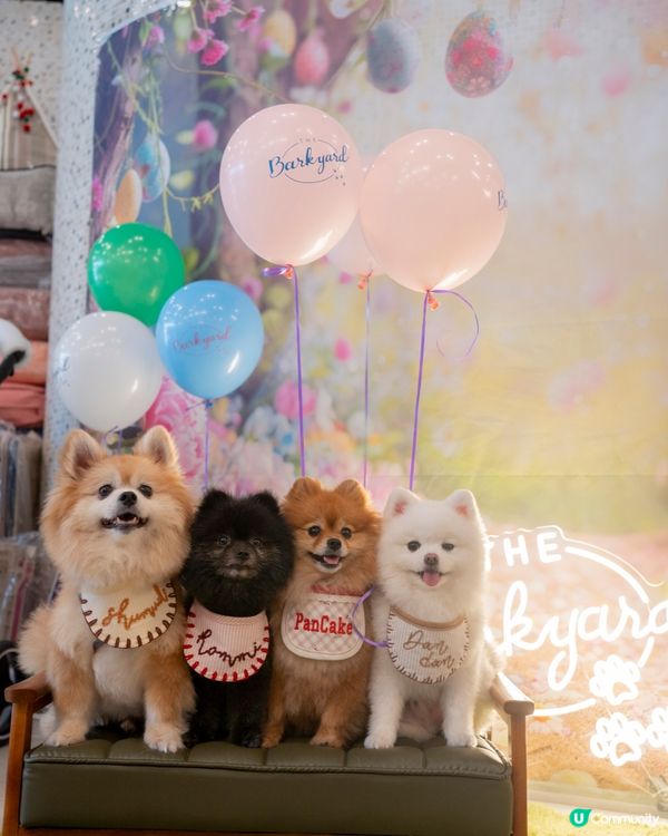 SOUTHSIDE南區寵物友善商場