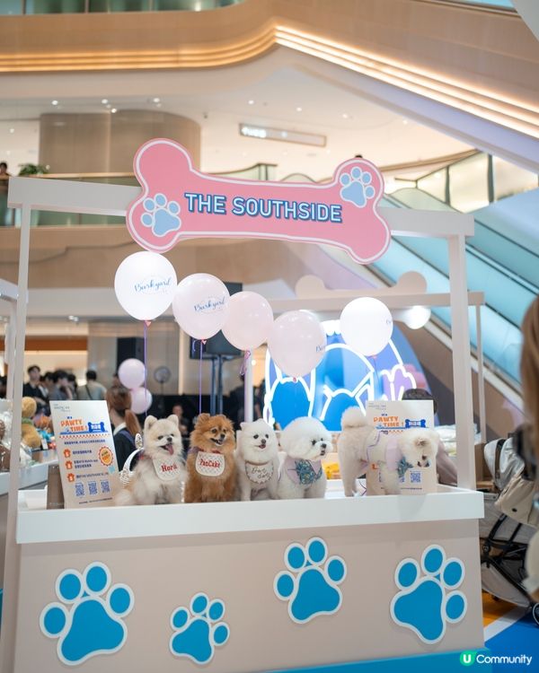 SOUTHSIDE南區寵物友善商場