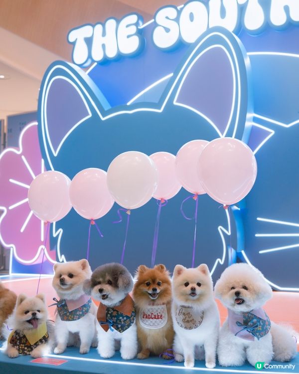 SOUTHSIDE南區寵物友善商場