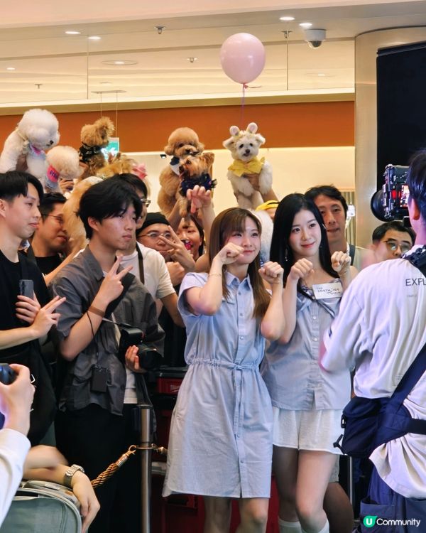 「It's Paw-ty Time !」貓狗主題市集🐾