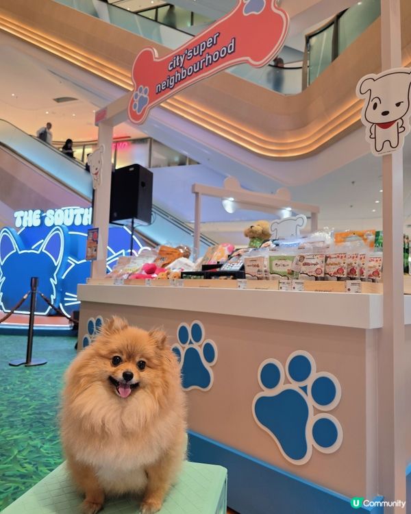 「It's Paw-ty Time !」貓狗主題市集🐾