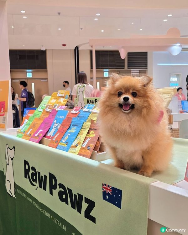 「It's Paw-ty Time !」貓狗主題市集🐾