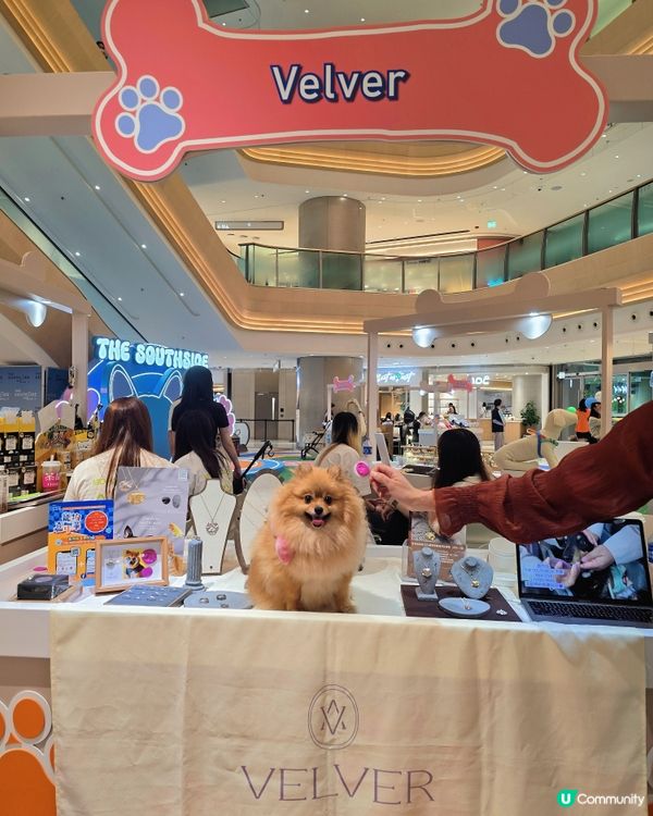 「It's Paw-ty Time !」貓狗主題市集🐾