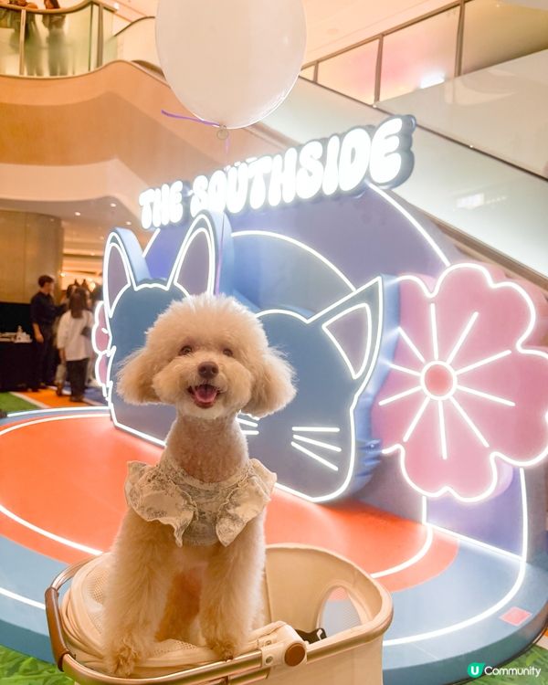 港島區狗狗又有個新浦點啦~