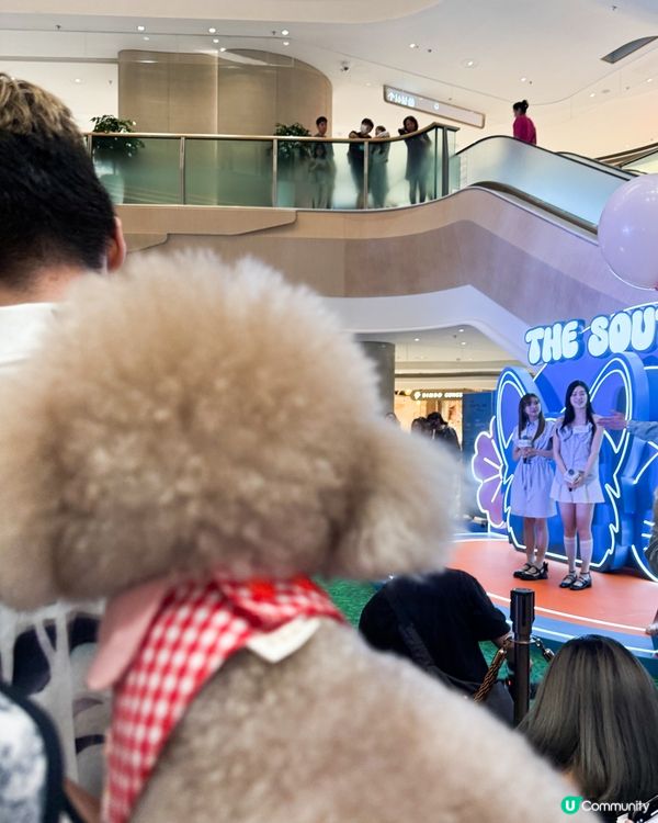 港島區狗狗又有個新浦點啦~